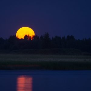 Hunter's Moon Collection